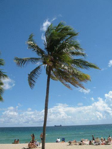 Seaside Motel ฟอร์ต ลอเดอร์เดล ภายนอก รูปภาพ